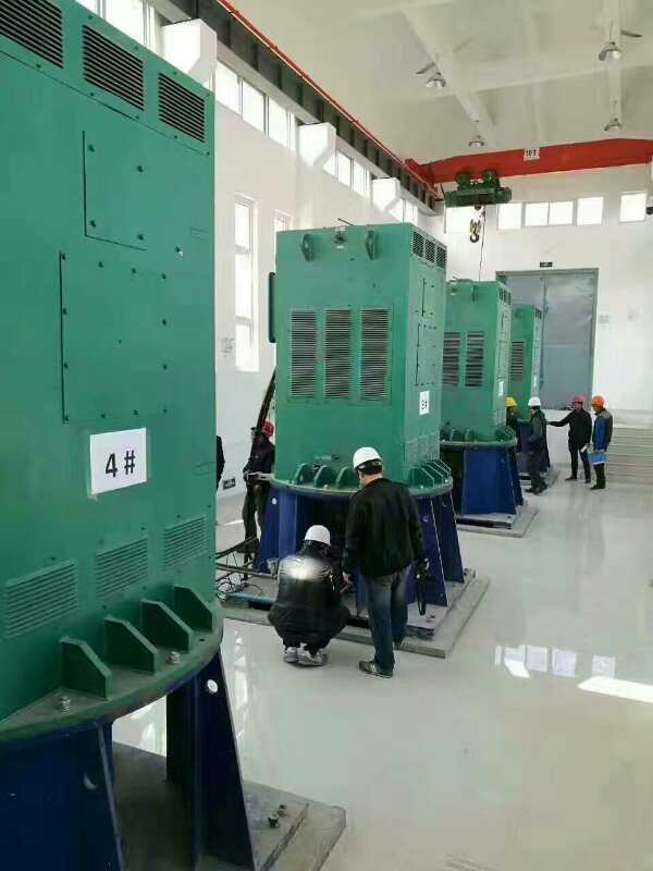 韶山某污水处理厂使用我厂的立式高压电机安装现场