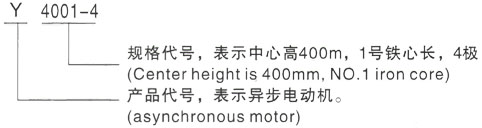 西安泰富西玛Y系列(H355-1000)高压韶山三相异步电机型号说明